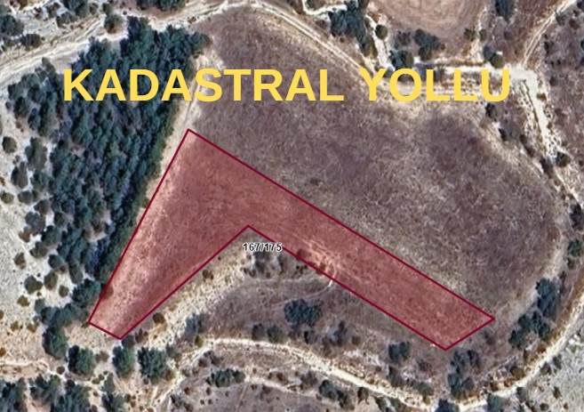 UŞAK ULUBEY BÜYÜKKAYALI 'DA 3.021 M² TARLAMIZ SATILIKTIR. - UŞAK ULUBEY fotoğraf 2